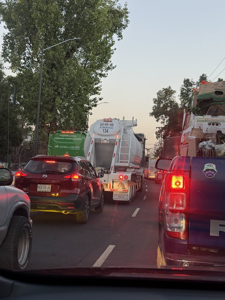 Violeta Moreno tweet media