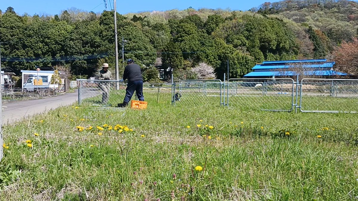 ちびうま団おひしゃる tweet media