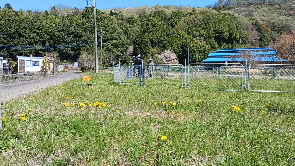 ちびうま団おひしゃる tweet media