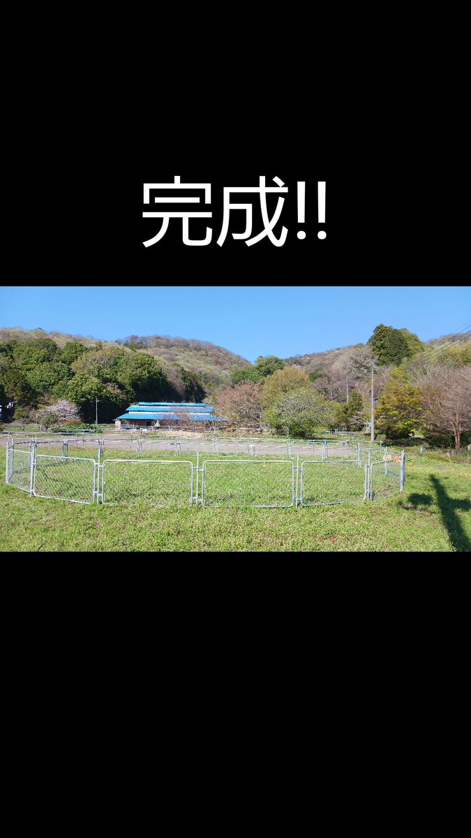 ちびうま団おひしゃる tweet media