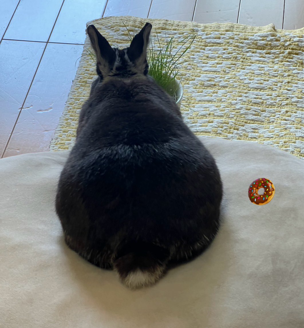 秋沢 健太朗 tweet media