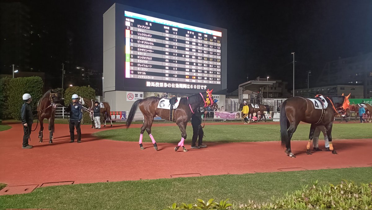 出産予定日+2日目
元気に夫婦で競馬場観戦中
そして全敗