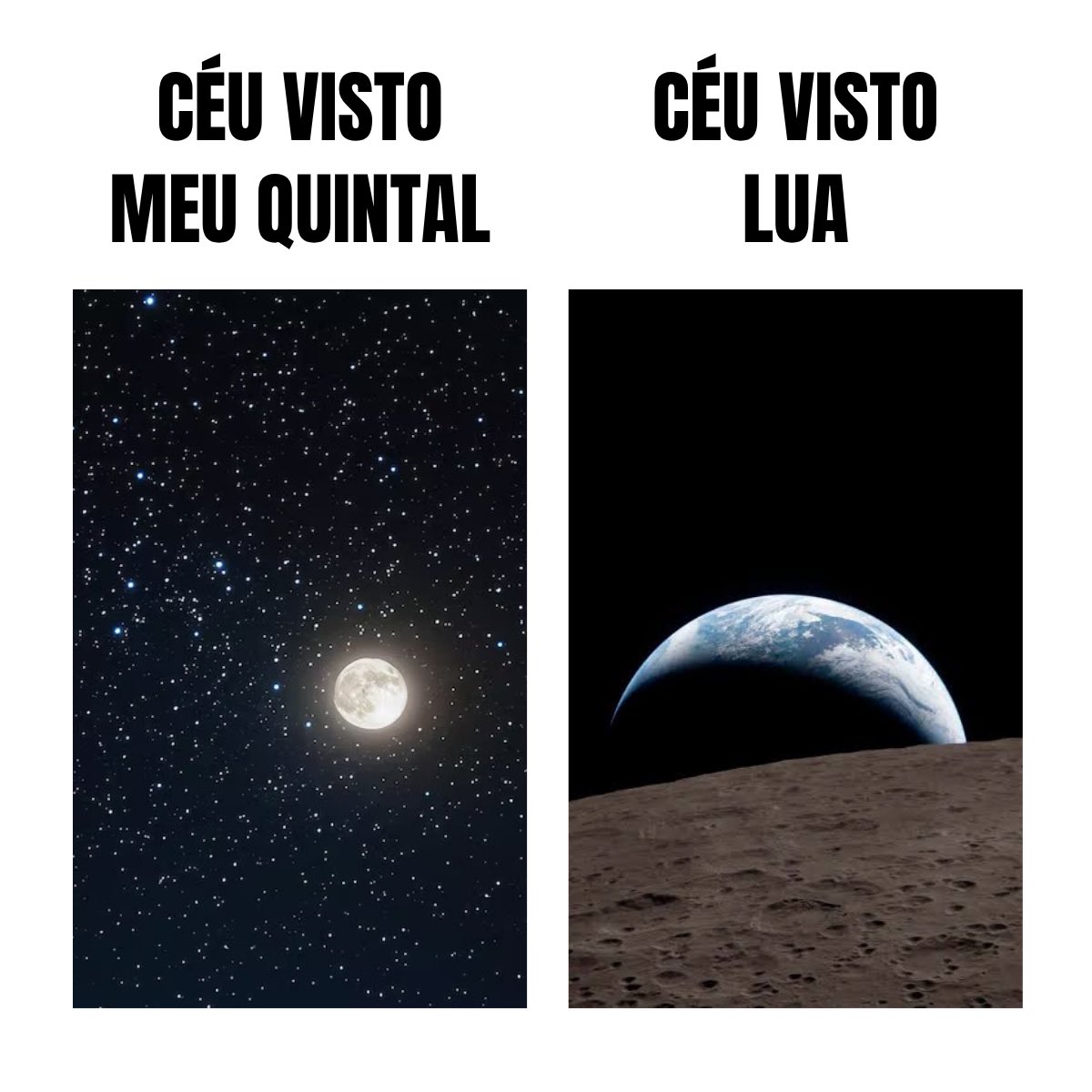 Paladin 🎖 tweet media