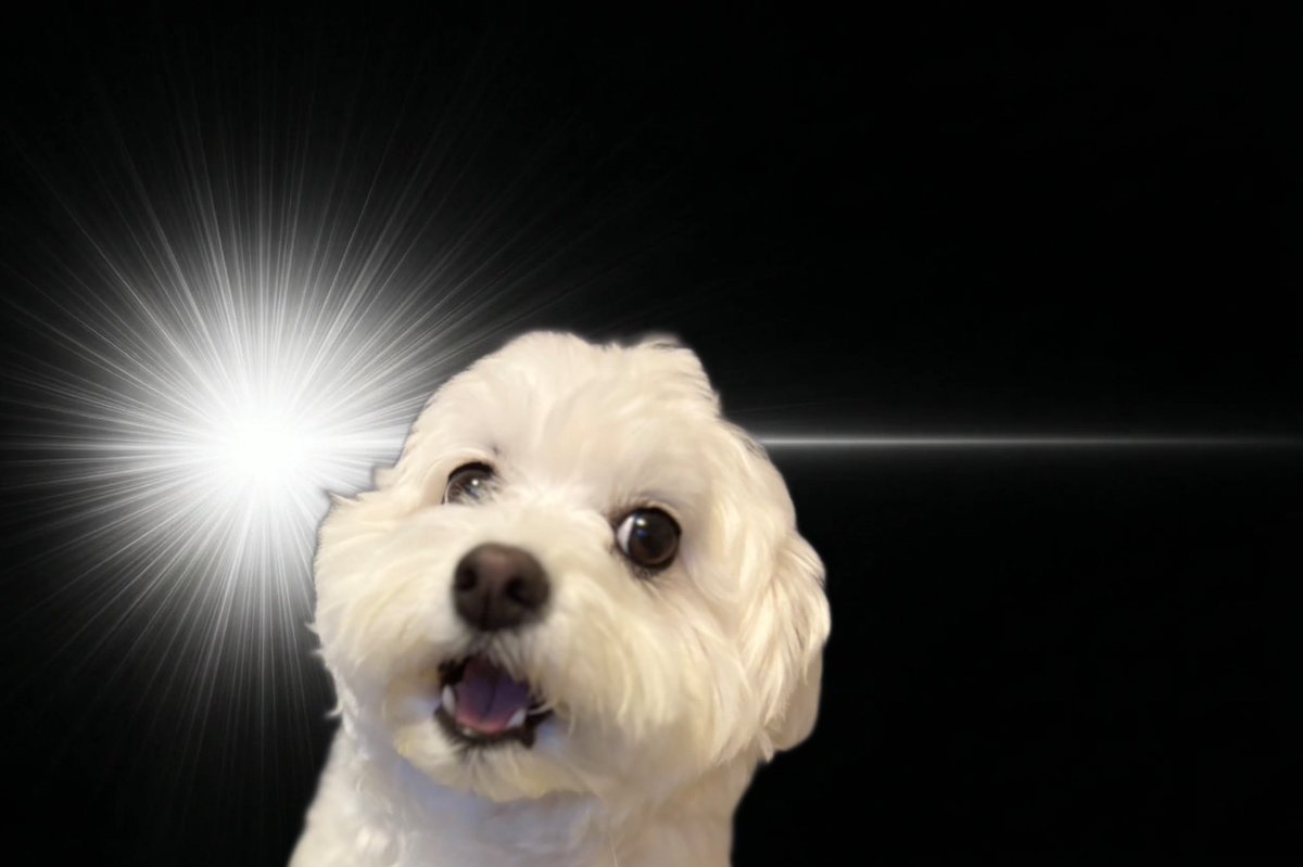 大地サト tweet media