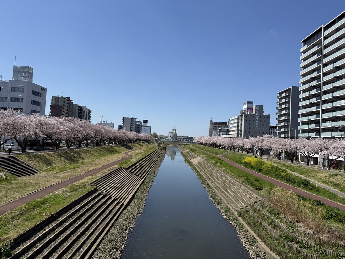 KK (kéɪ kéɪ) | けいけい ! 軽々 tweet media