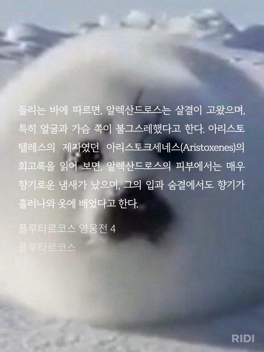 덕개 tweet media