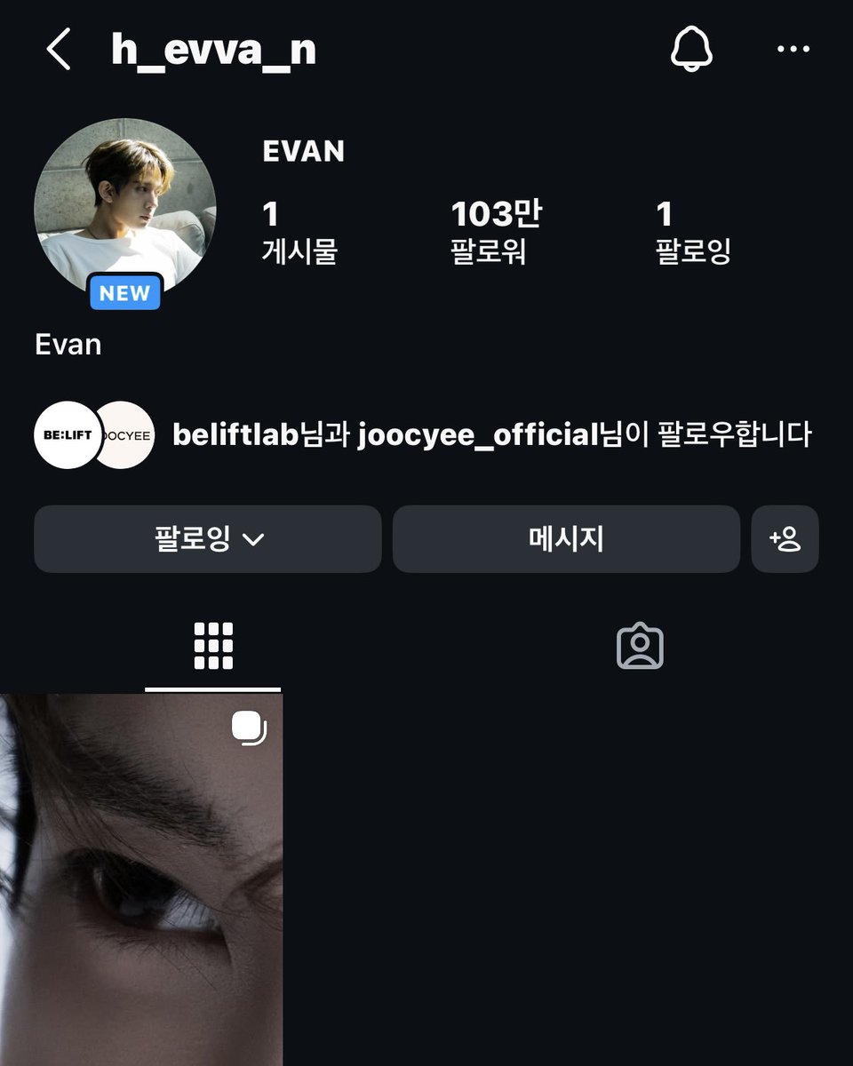 레디 tweet media