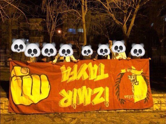 Forza Buca tweet media