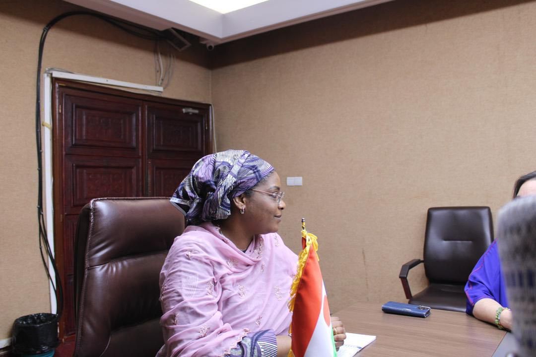 OIM Niger tweet media