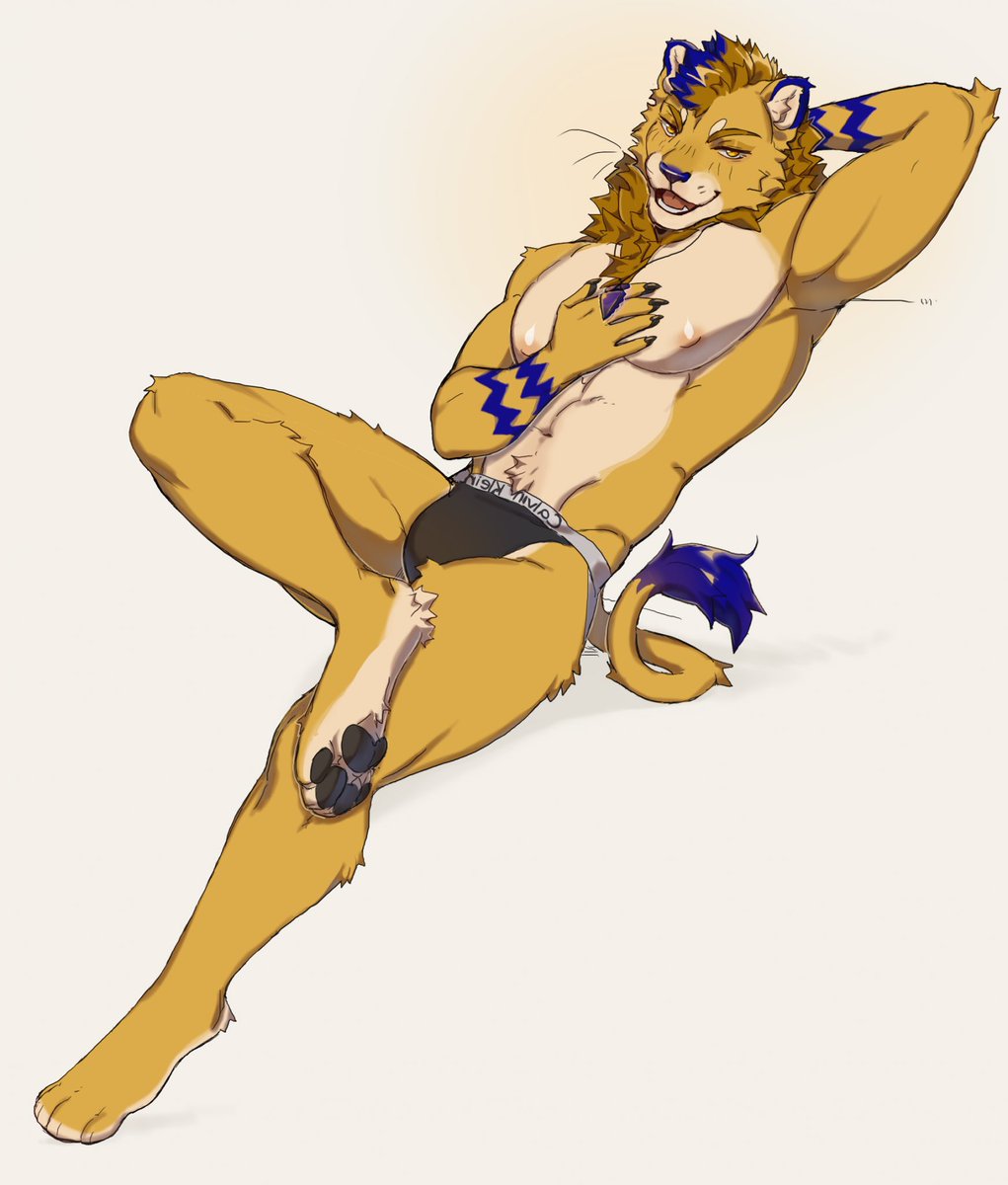 Dexter 🦁 tweet media