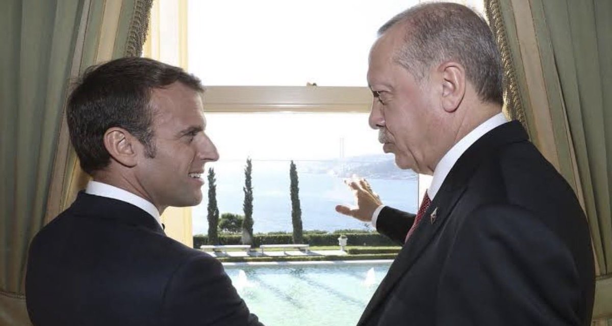 Samuel Doveri Vesterbye tweet media