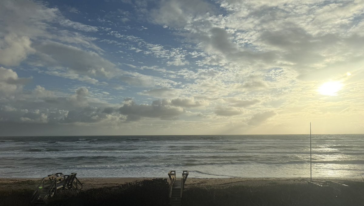 Colette Harrington tweet media