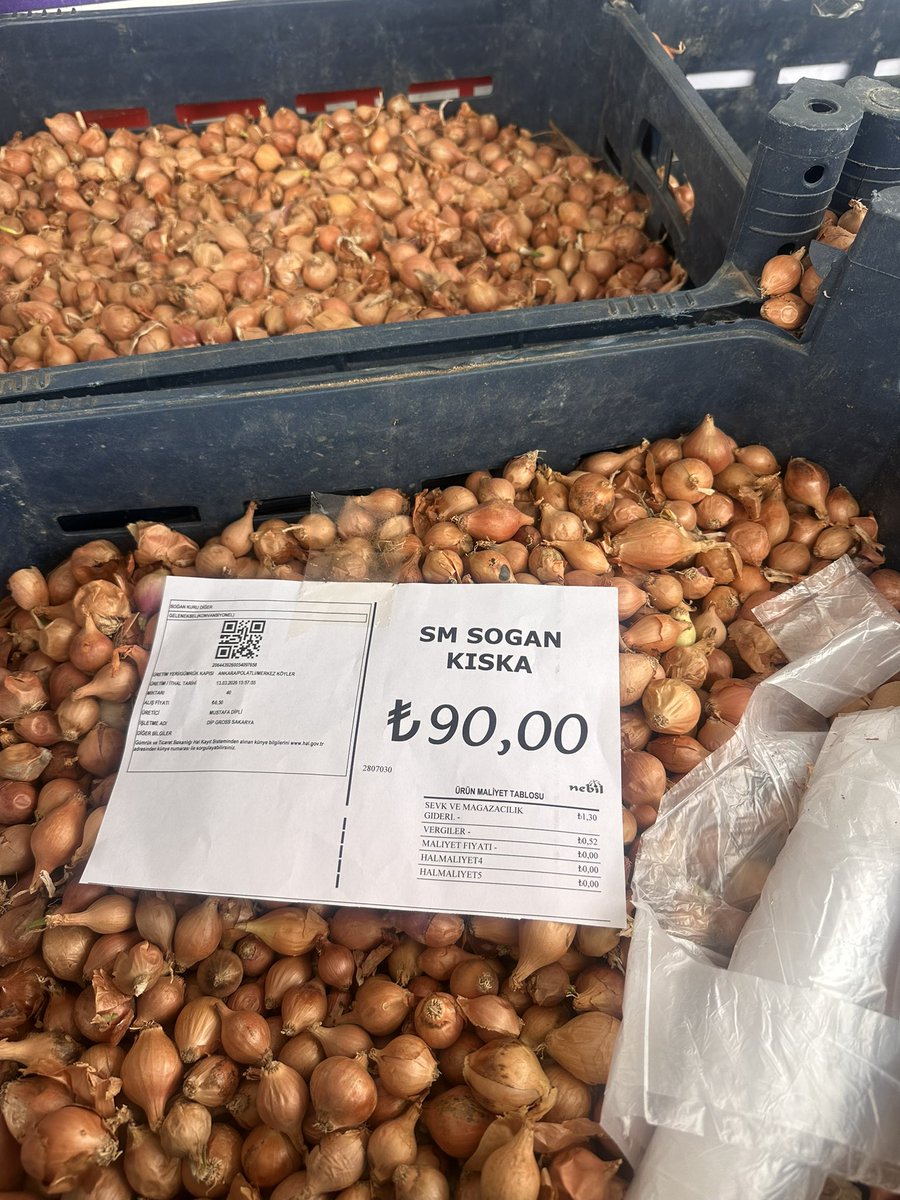 Harun Ozan Ceylan tweet media