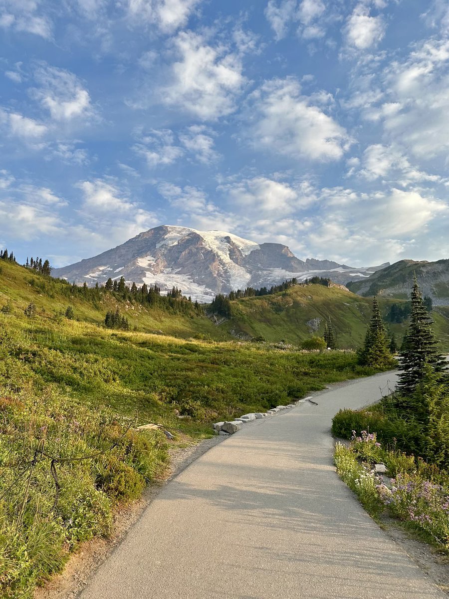 The crafts tweet media