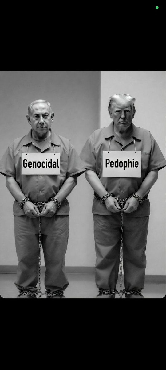 Sahar Shaikh ( AIMIM ) tweet media