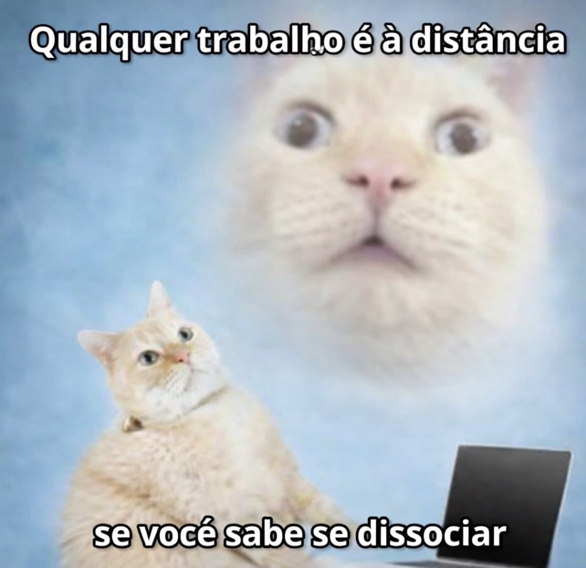 Ay (@Ayramaze) / Posts / X