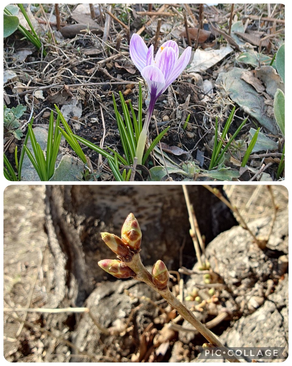 でこちゅ tweet media