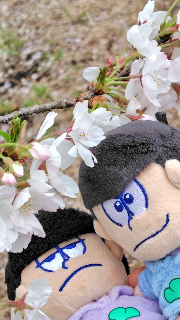 マリボー tweet media