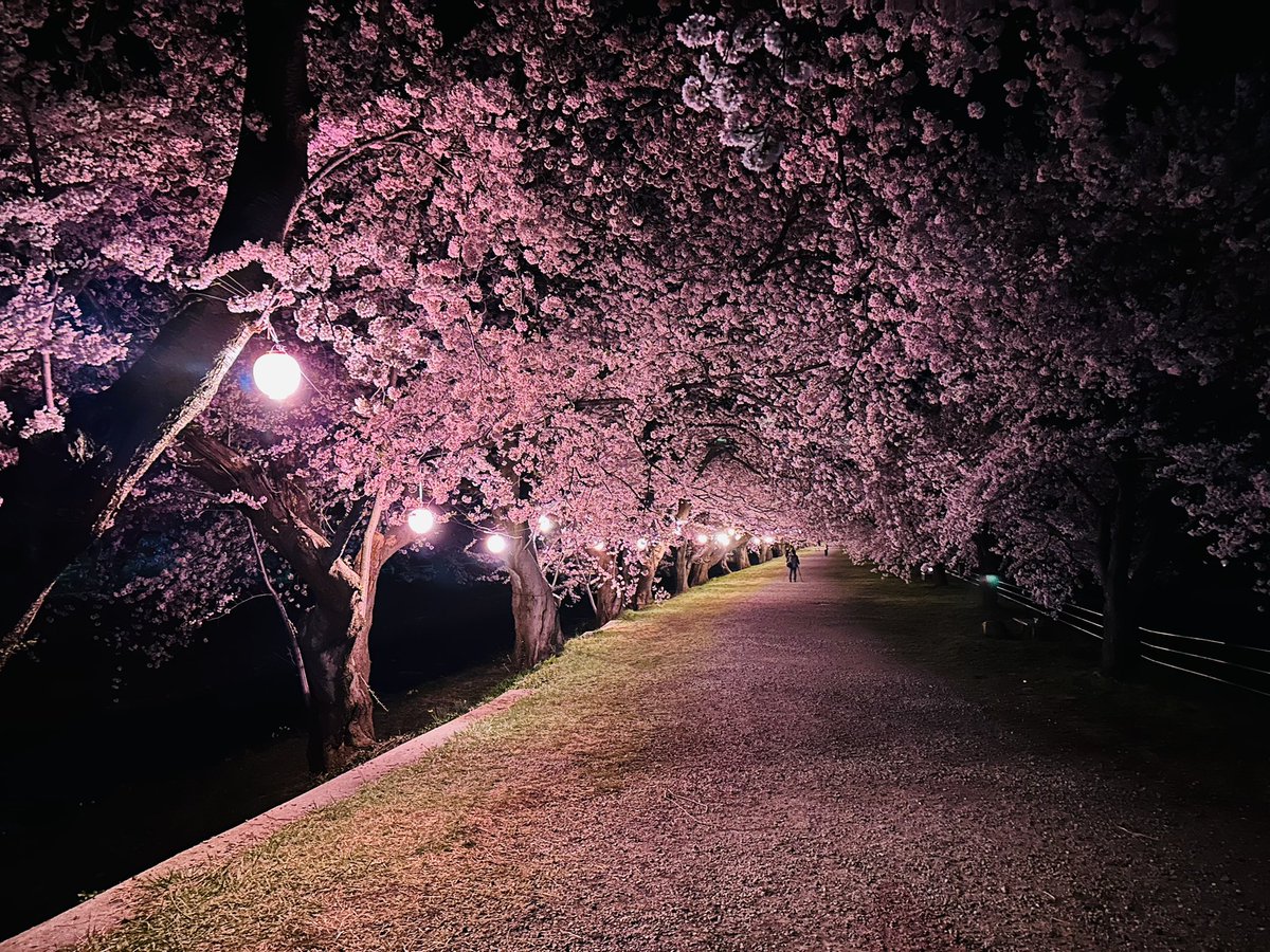 なつめ tweet media