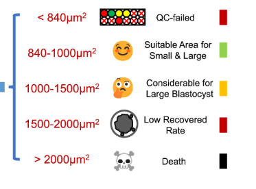 UCO Animal Citogenomics Lab 🇦🇷 🇪🇸 tweet media