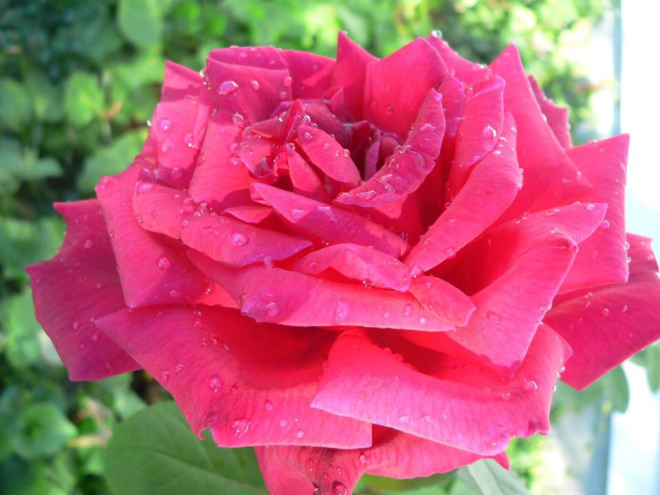 Nina Tomlinson tweet media