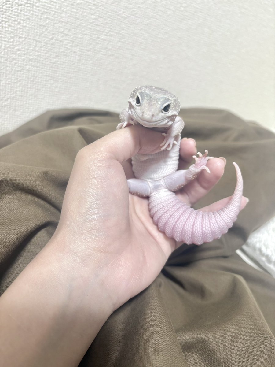 ℳ𝒾𝓃𝒶𝓂𝒾 ❤︎ tweet media