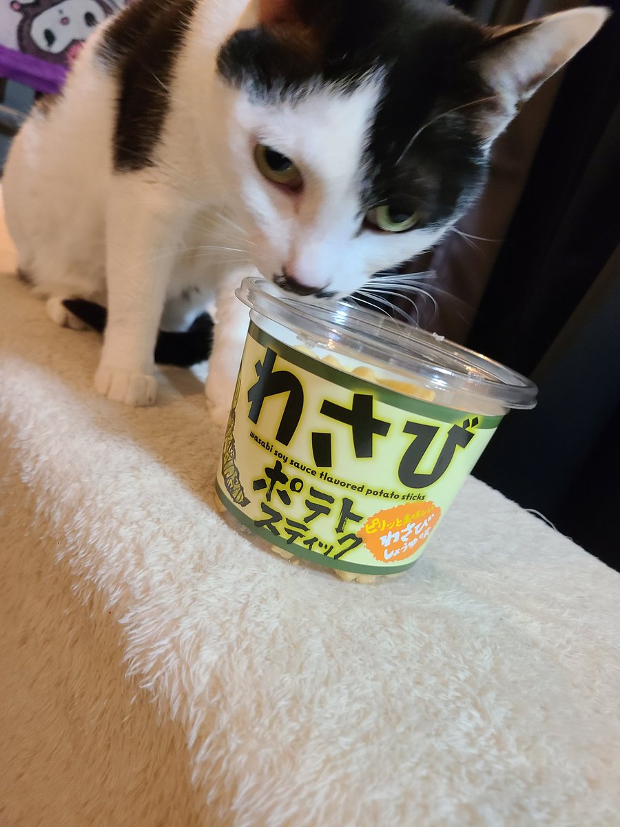 坂井里会 riesakai tweet media