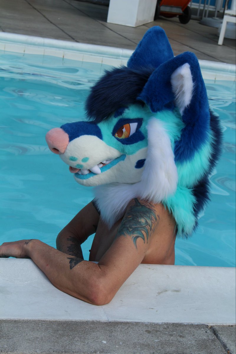 nasarocket13's tweet photo. Just a dumb wolf hanging out at the pool without a single thought https://t.co/fZWhDofjZr