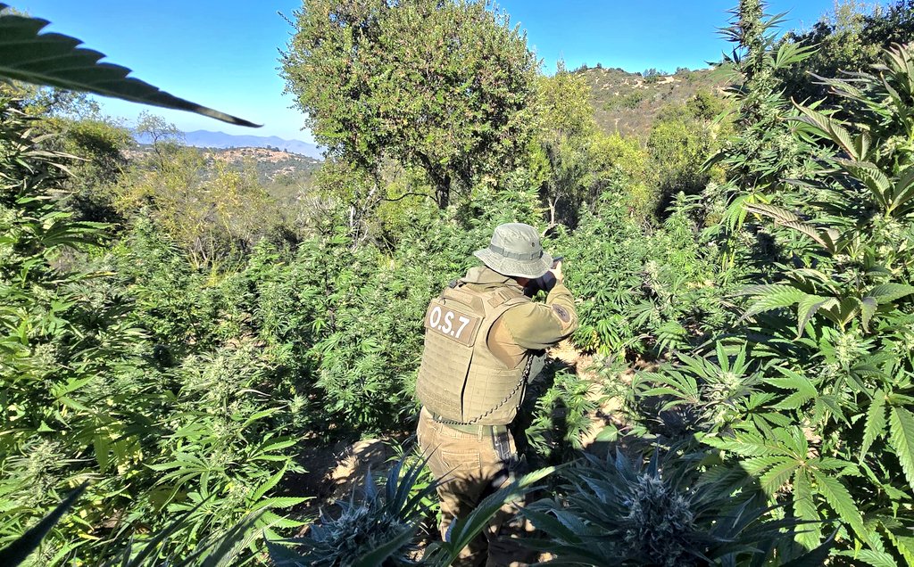 Carabineros Región de Coquimbo tweet media