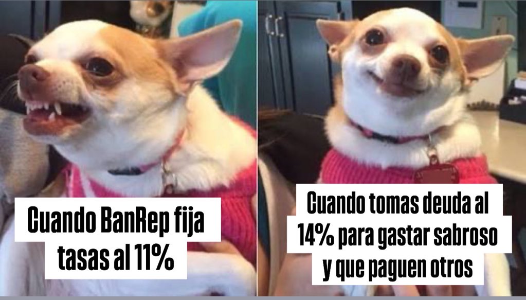 Germán Ricaurte tweet media