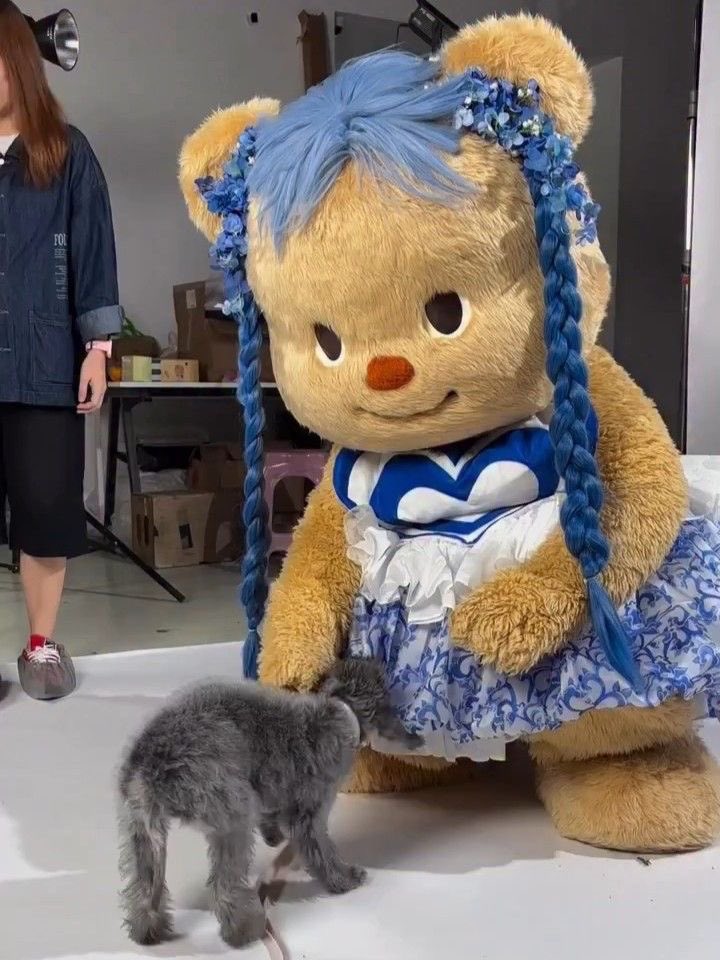 ꒰ ♡ ݂☘️หารแอพ | ตอบไวค้าบ! ꒱ ݁ tweet media