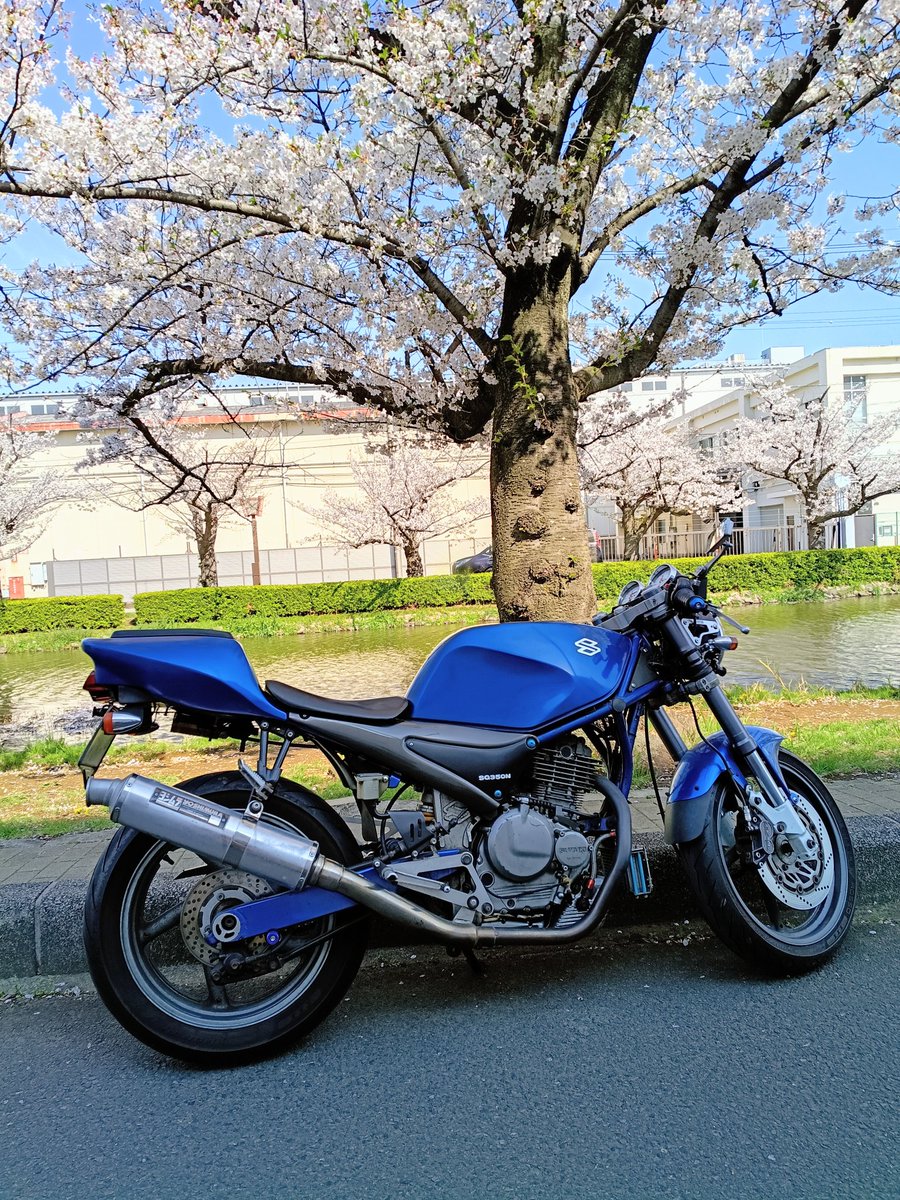 長谷川竹光 tweet media