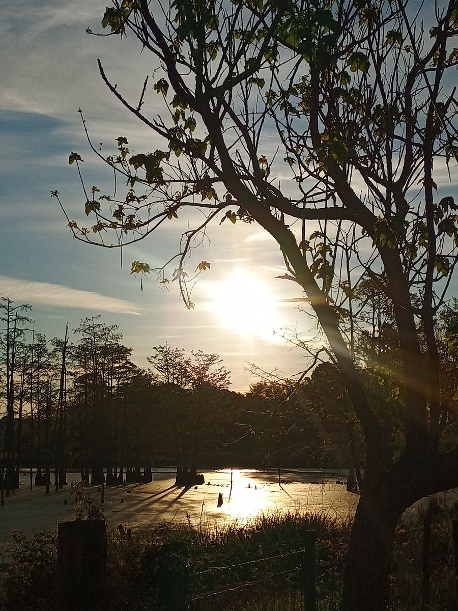 86_mjw's tweet image. #goodmorning from southgeorgia.. 🌞👋 sunrise sky this a.m. #happywednesday