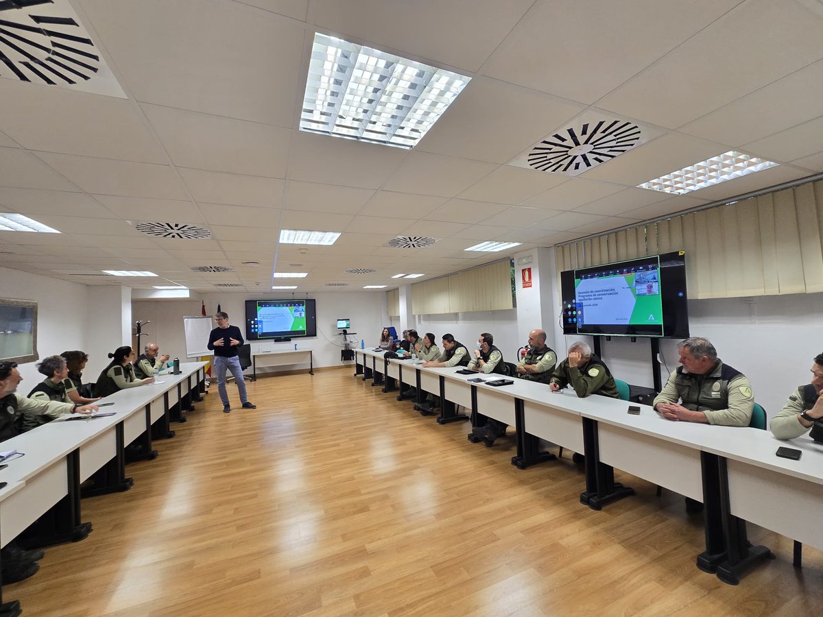 Los Agentes Medioambientales de Córdoba participan en la reunión inicial de la campaña 2026 para la detección temprana y seguimiento del aguilucho cenizo. 🐦🌾

🤝Compromiso, coordinación y trabajo en equipo para proteger esa especie.
#AAMM #AguiluchoCenizo #MedioAmbiente