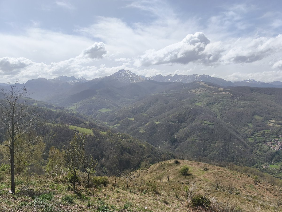 Simon Brand tweet media