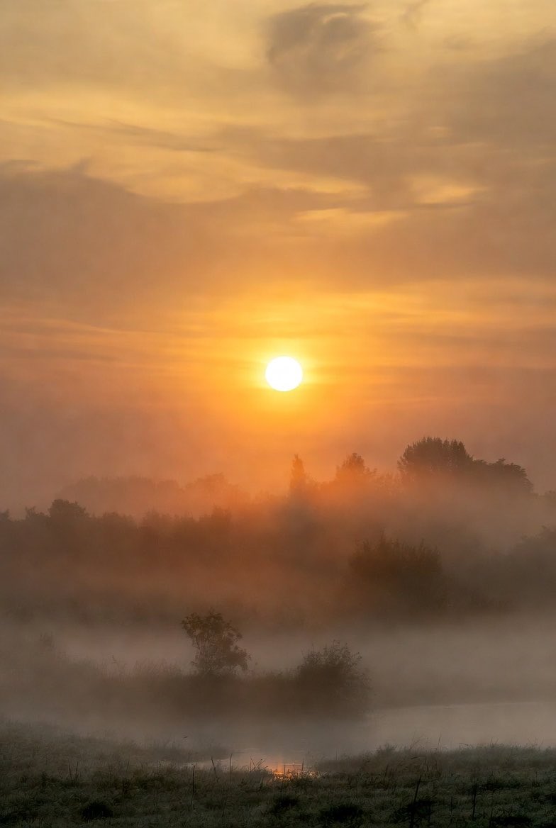 Nancy Graf🙏✝️⚓️💛🖤 tweet media