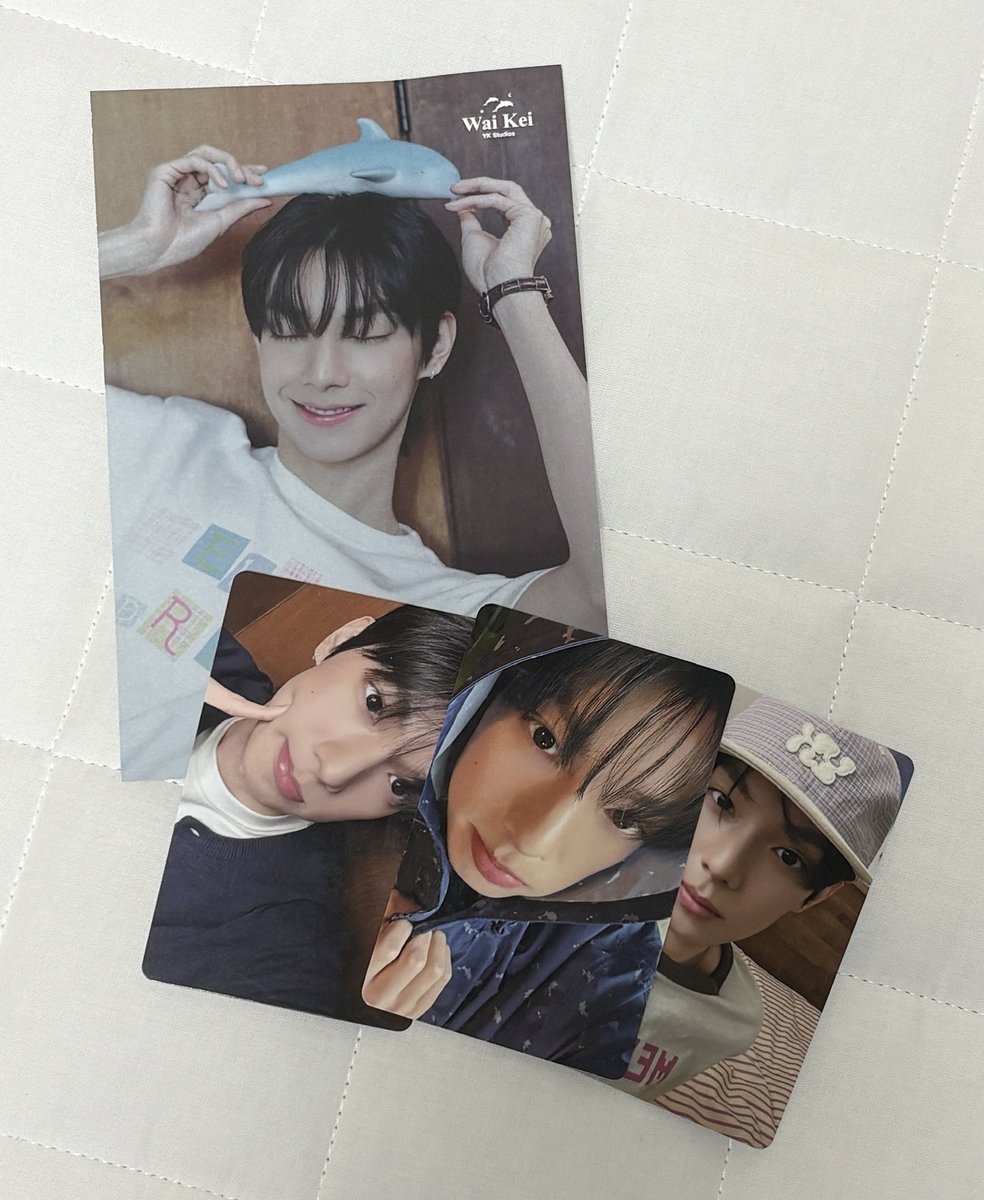 와이케이 포카 ㄹㅈㄷ 커염띠기..💕