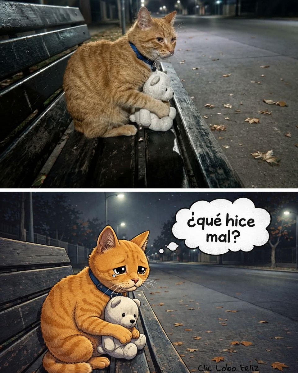 Clau🧉💚 tweet media