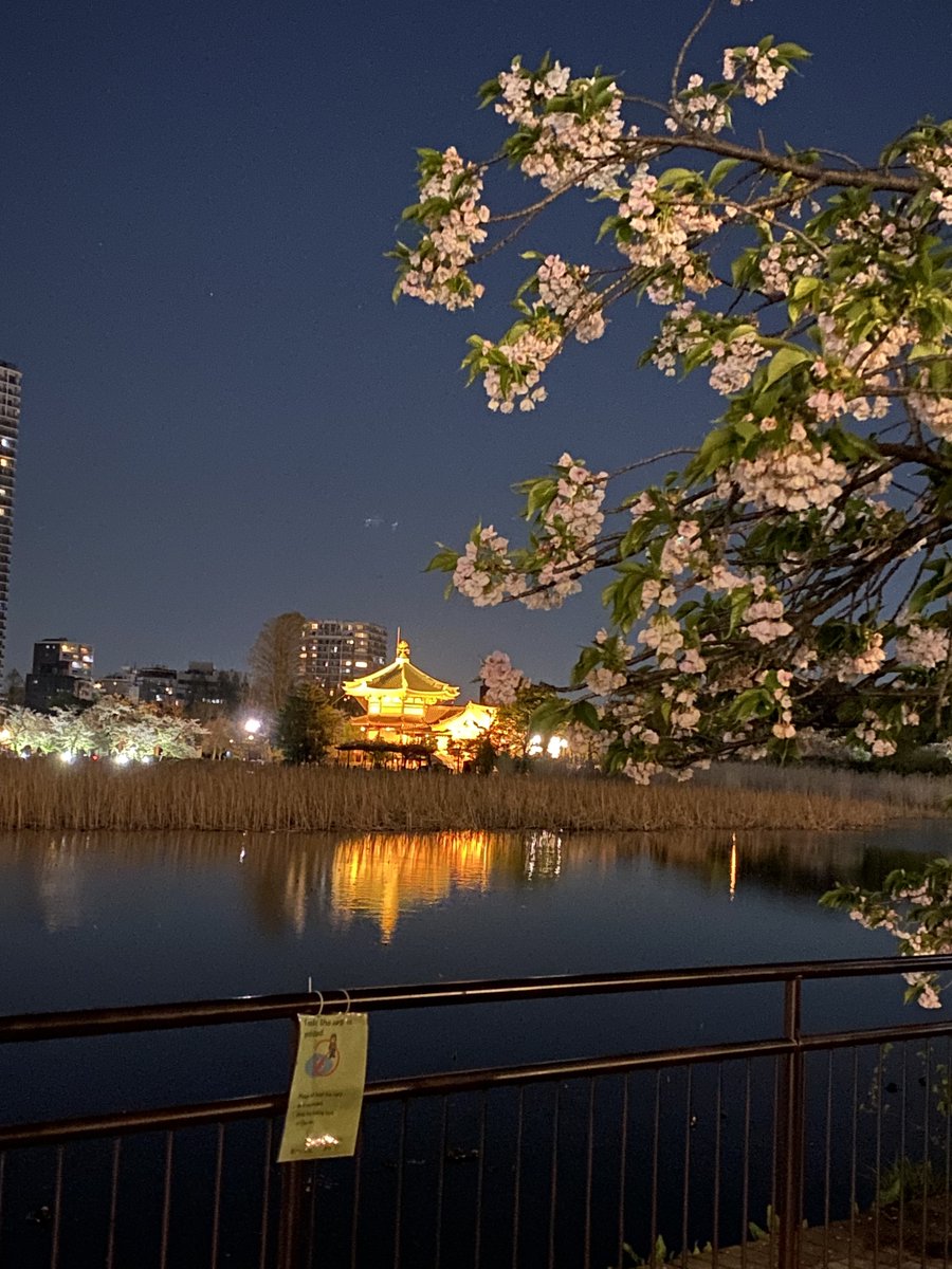 波堂 ケンイチ tweet media