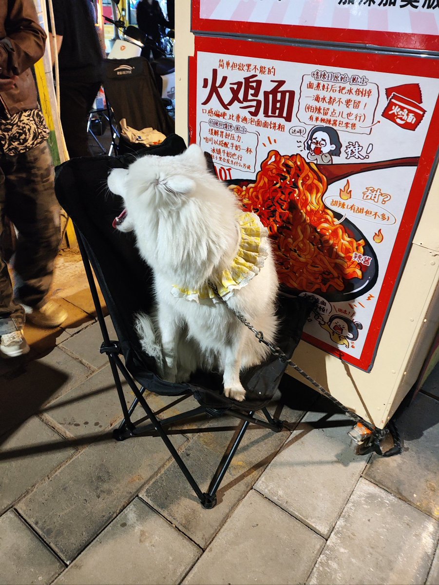 镁股仙人 tweet media