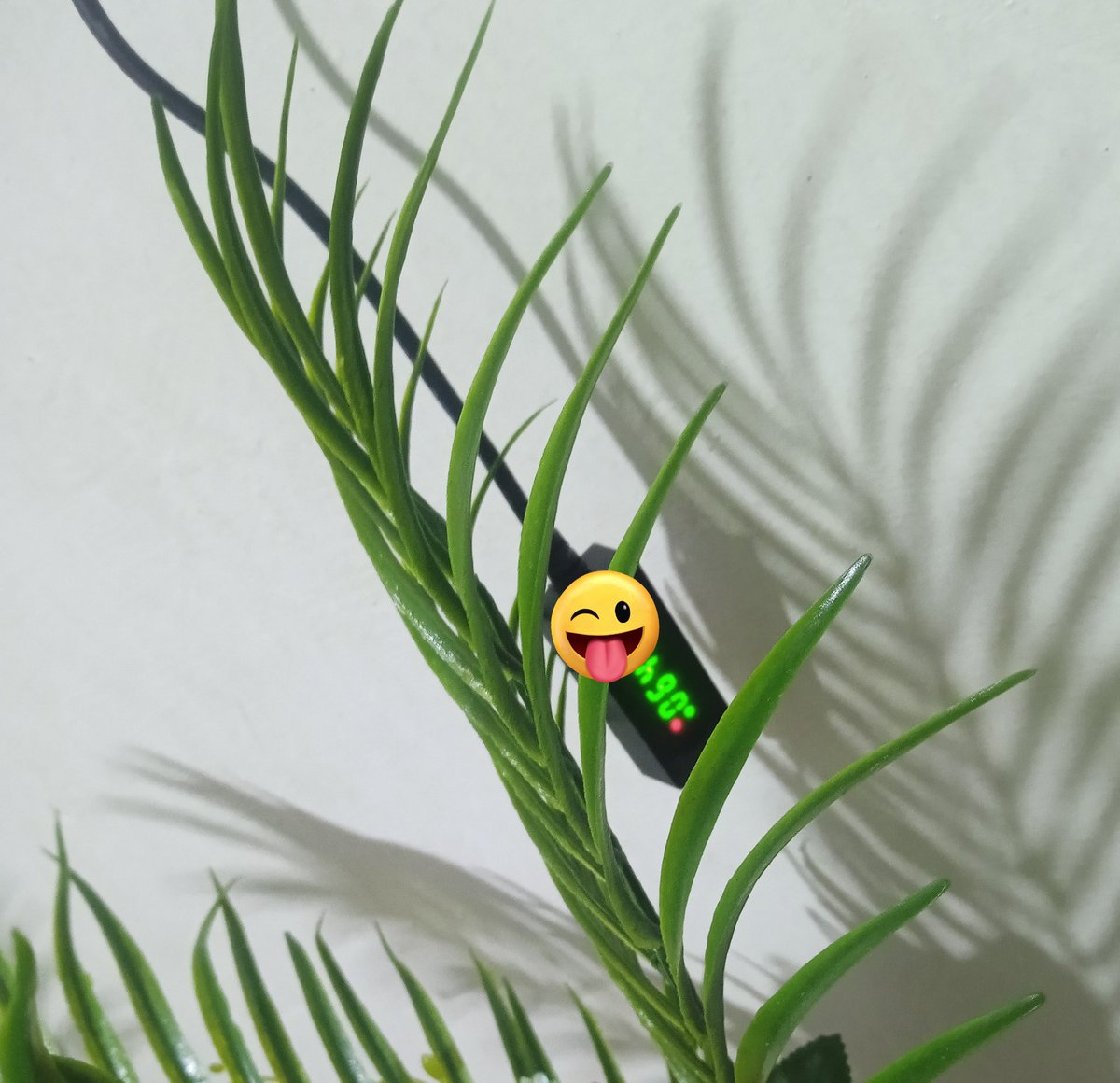 Genuine Spot tweet media