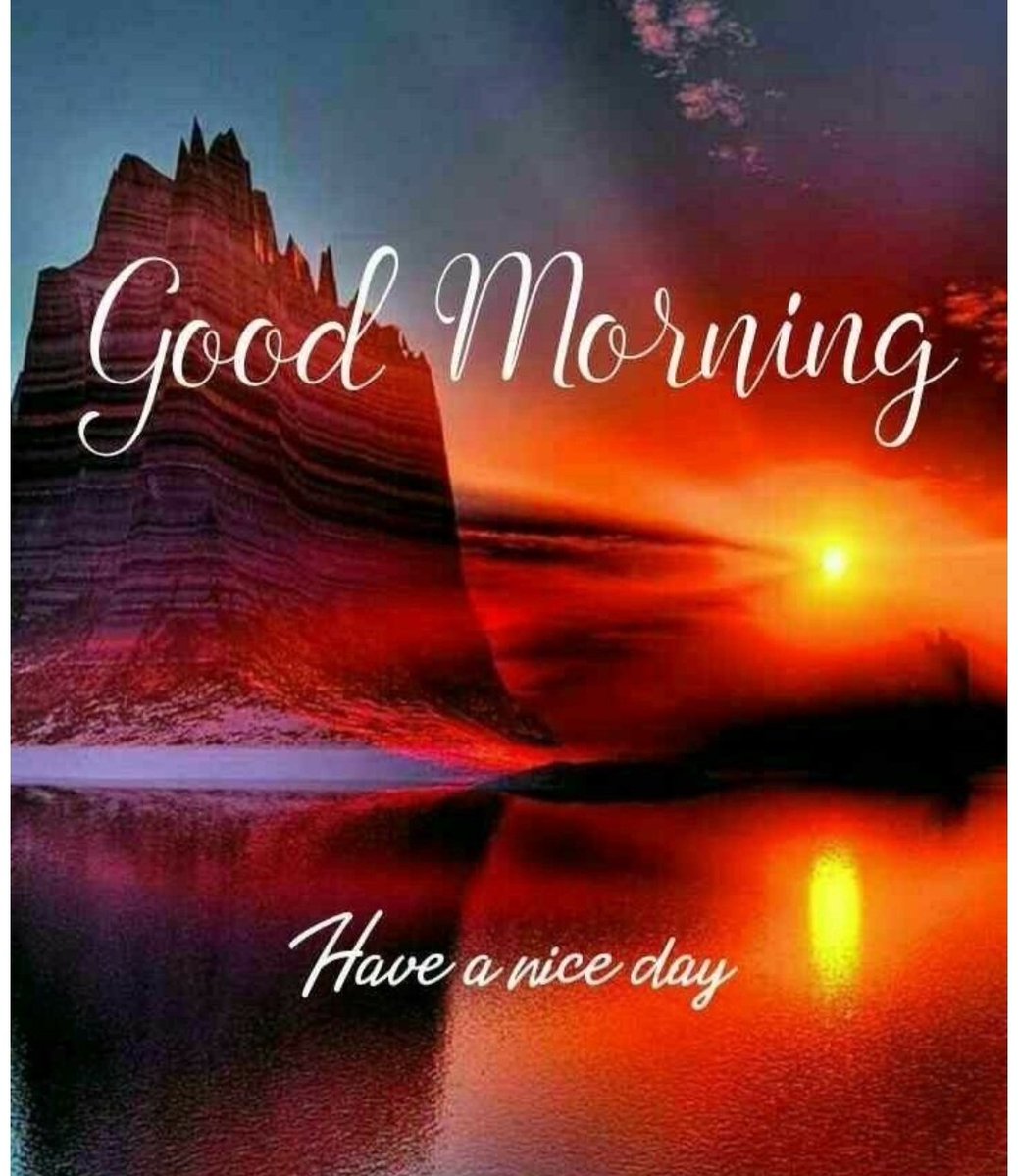 Honey 🤍🌹🤍 tweet media