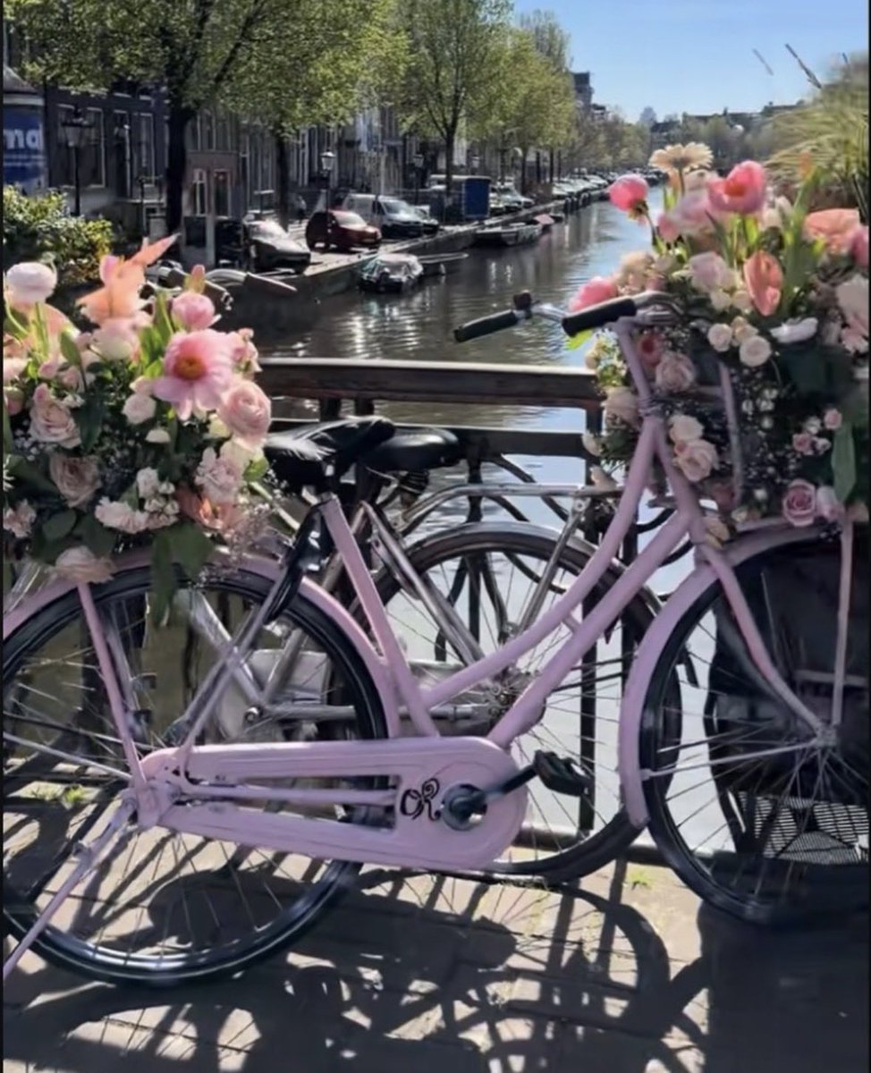 Amanda 🩷ᴼᴿ³ tweet media