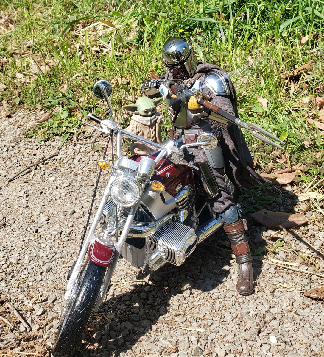 ゴードンWATARU🛡🇺🇸 tweet media