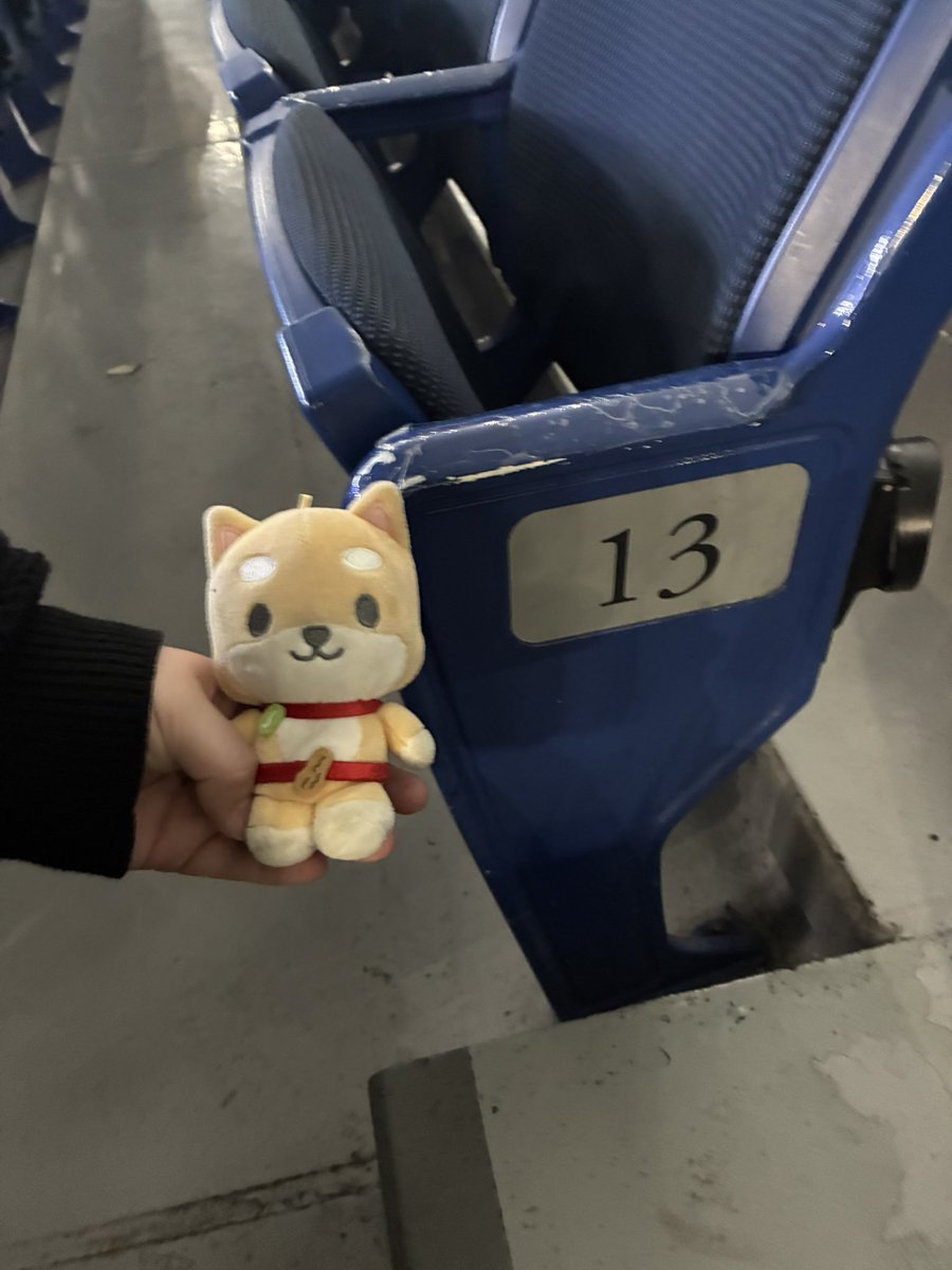 カモ実 tweet media