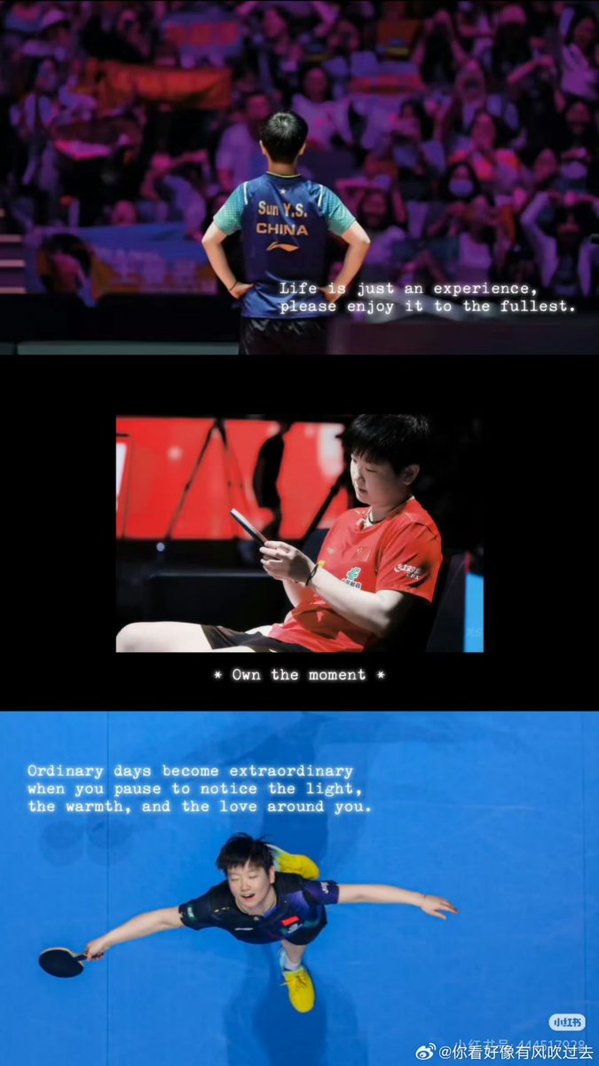 imRebafan's tweet photo. ITTF World Cup ก็ต้องมีภาพไวรัลทุกปี เป็น 3 แชมป์บนสถานการณ์ที่แตกต่างแต่ให้ความรู้สึกเดียวกัน ขอยืมคำจาก Official ITTF 
Legacy.Dominance.Champion mentality 

ชอบภาพของปีนี้ที่สุด มันแบบ น้องซาปลดล็อคตัวเองไปอีกขั้นแล้ว😭 รู้สึกว่าใจน้องออกจากเงาแมตช์สำคัญที่แพ้เมื่อปลายปีได้ละ✌️ https://t.co/1HzgCqrYlM