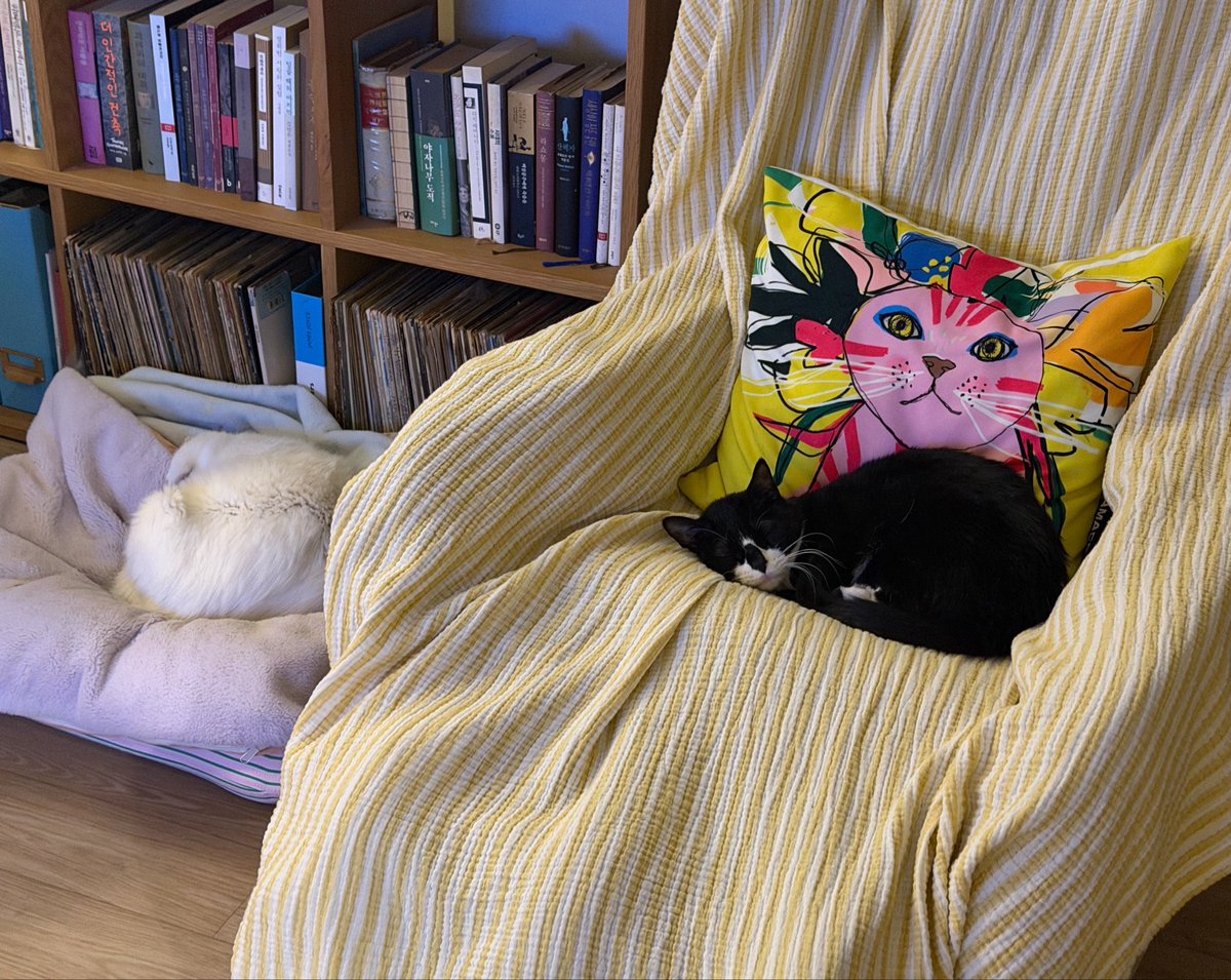 Jung Eunyoung tweet media