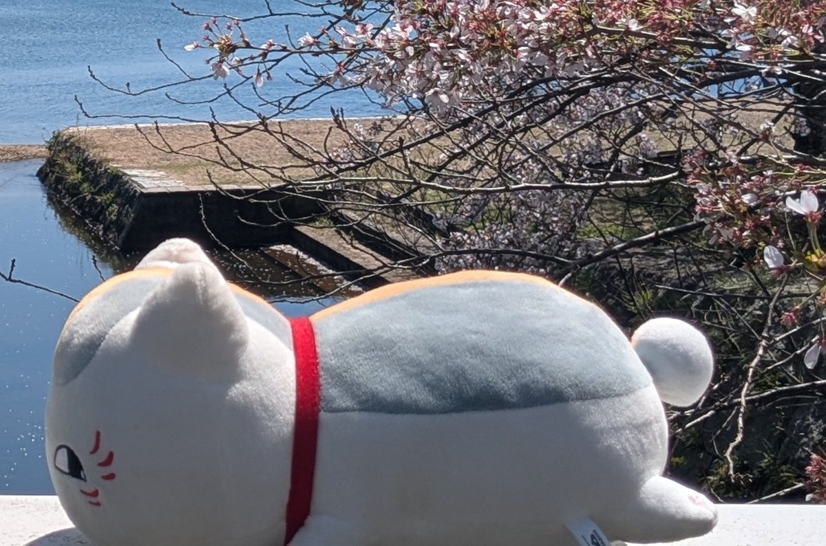 真理奈 tweet media