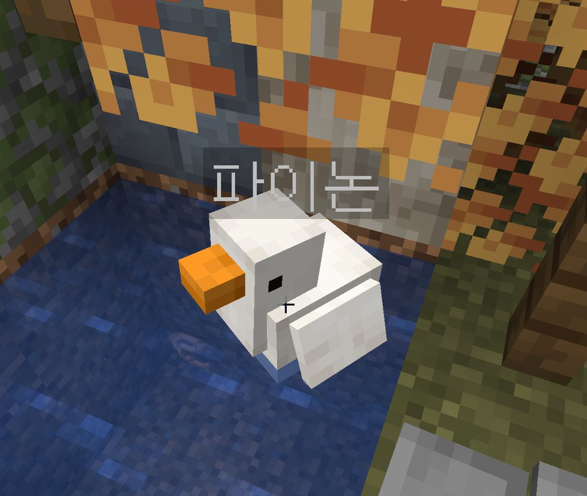 도마뱀 tweet media