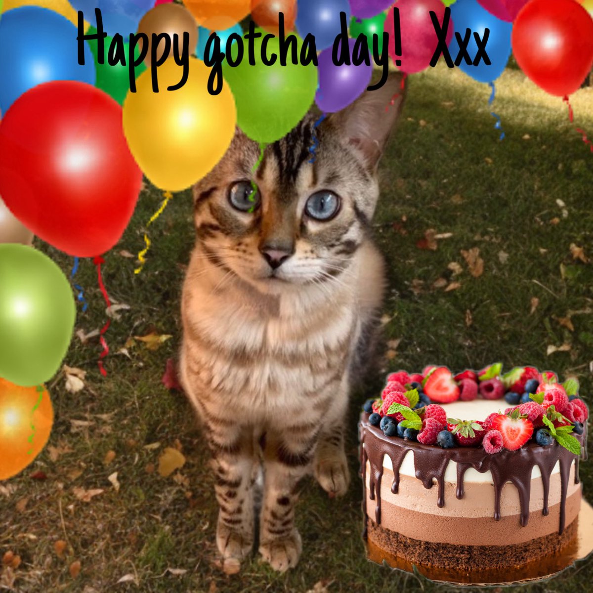 Luca, 🌈Angel Freddie and Caroline tweet media